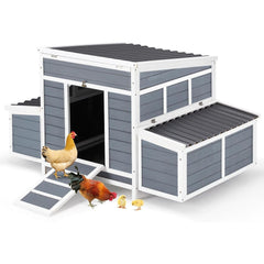 AECOJOY 56