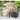 AECOJOY reclining outdoor chairs