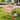 AECOJOY Backyard Soccer Game, Portable Soccer Training Equipment